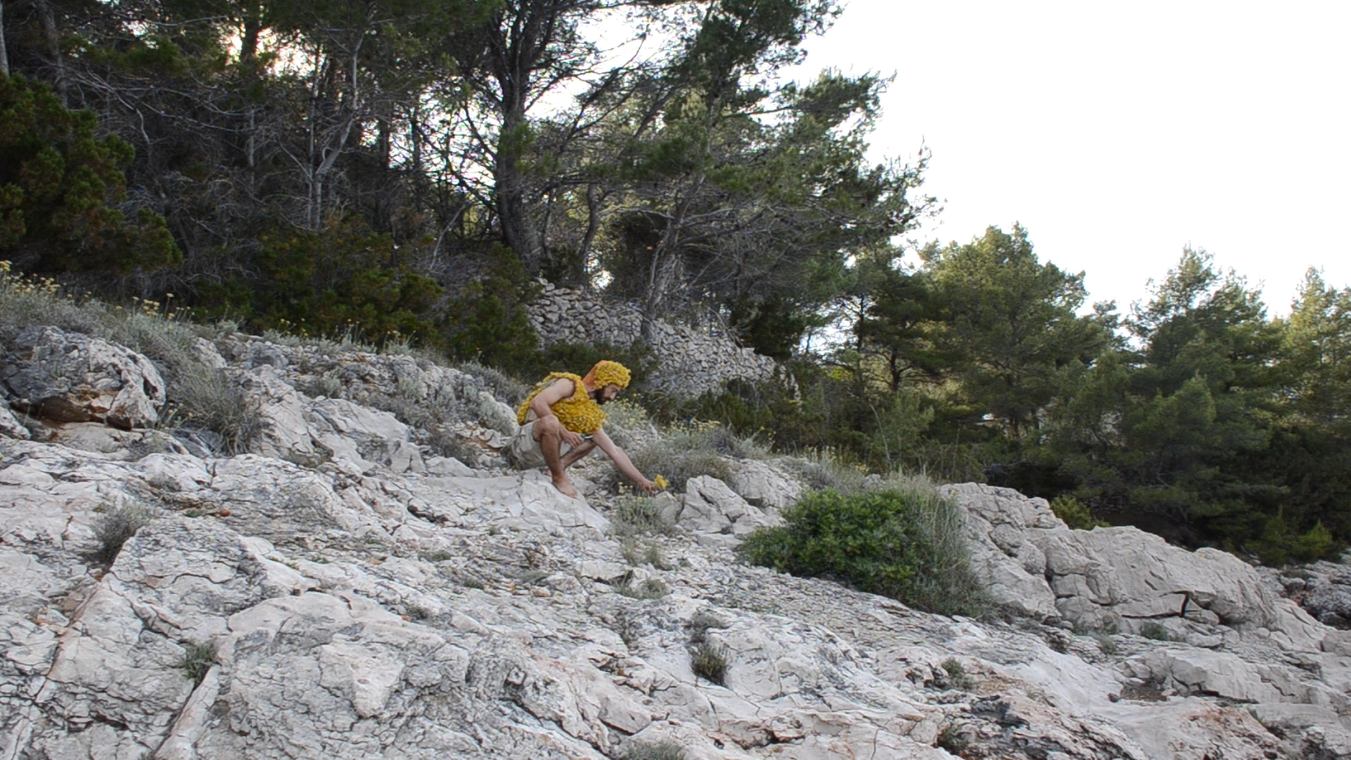 Immortelle promises, video documentation, 2024
