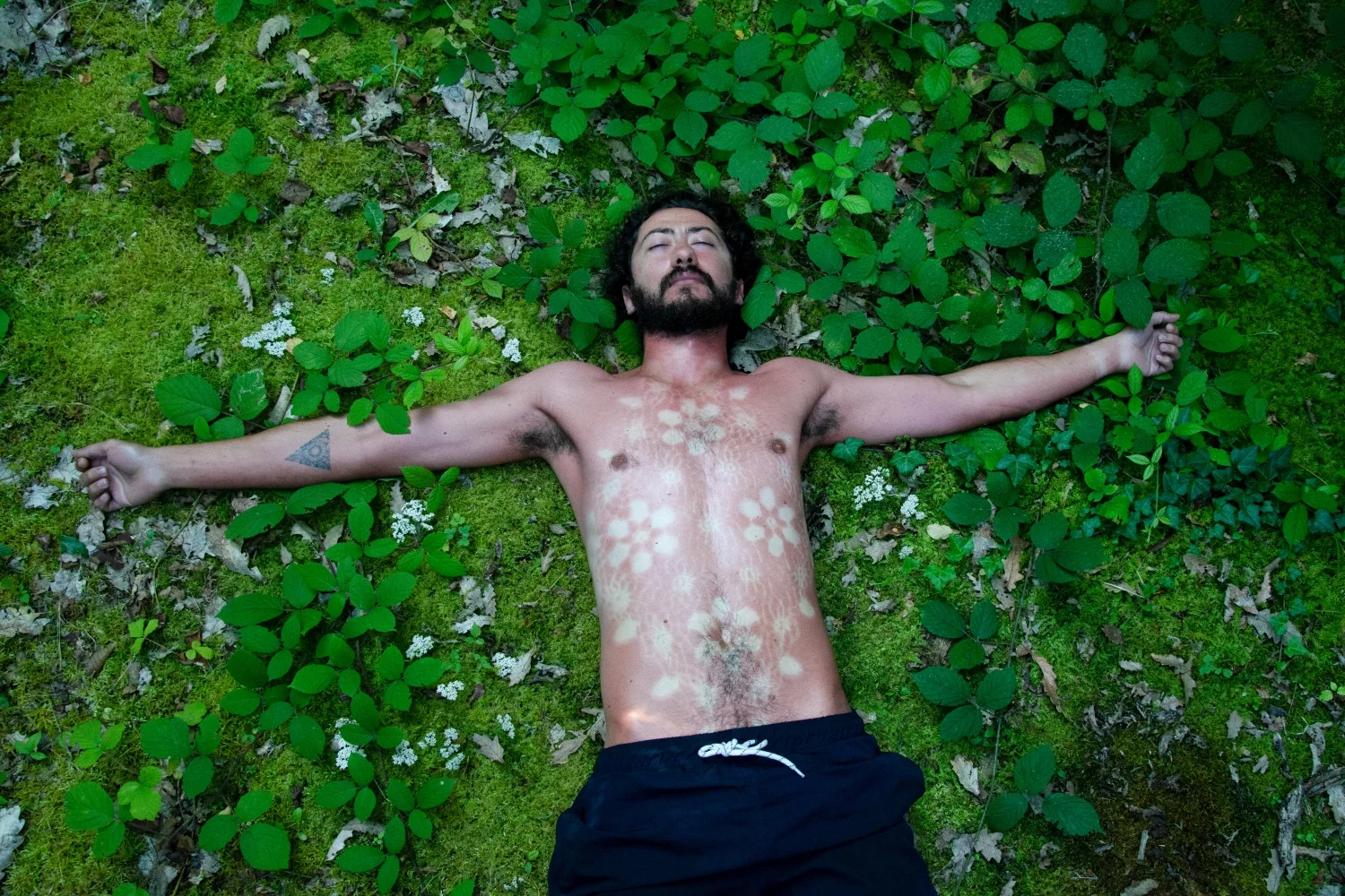 I am the wild strawberry meadow