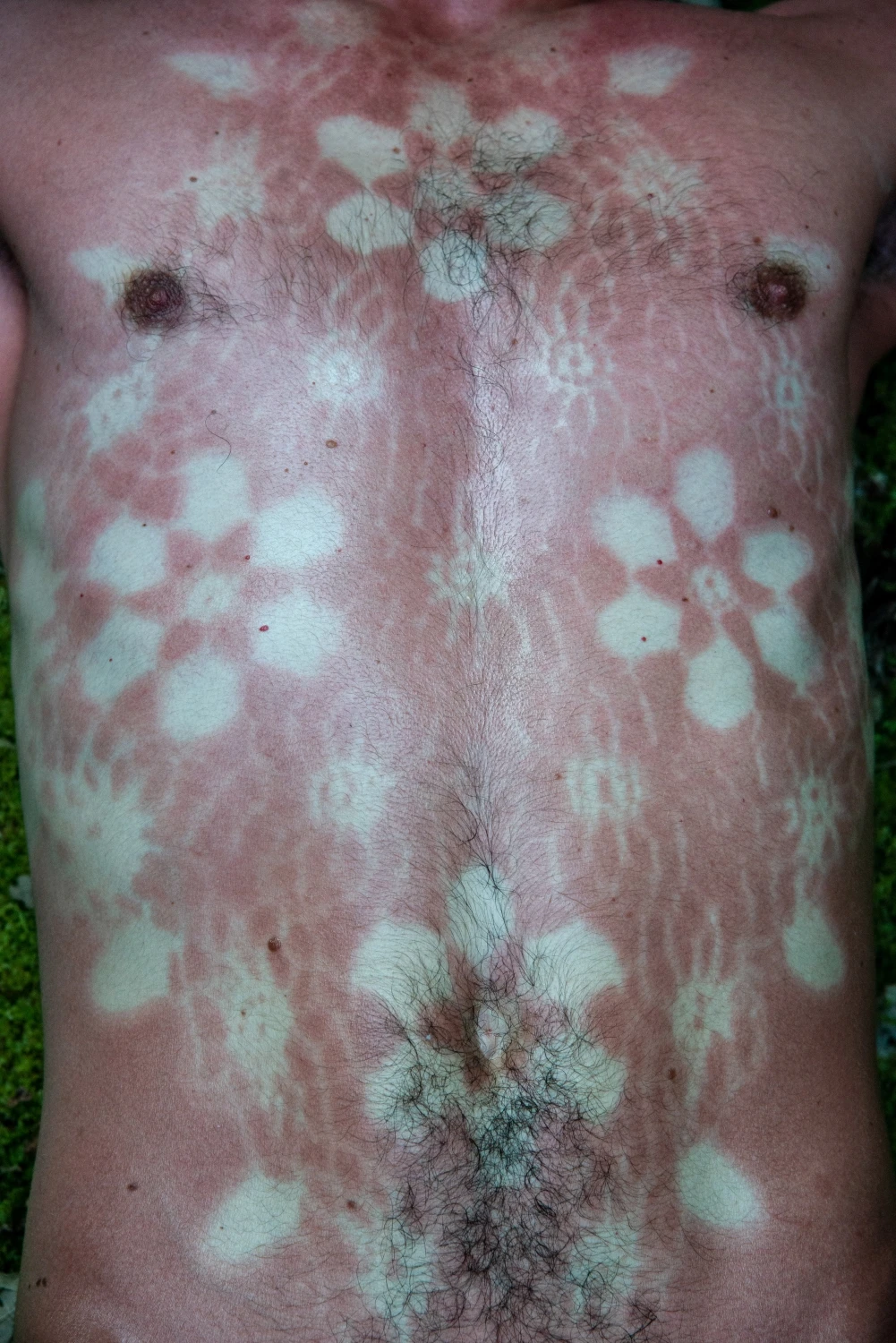 I am the wild strawberry meadow III, photo Ivelina Berova, 2023