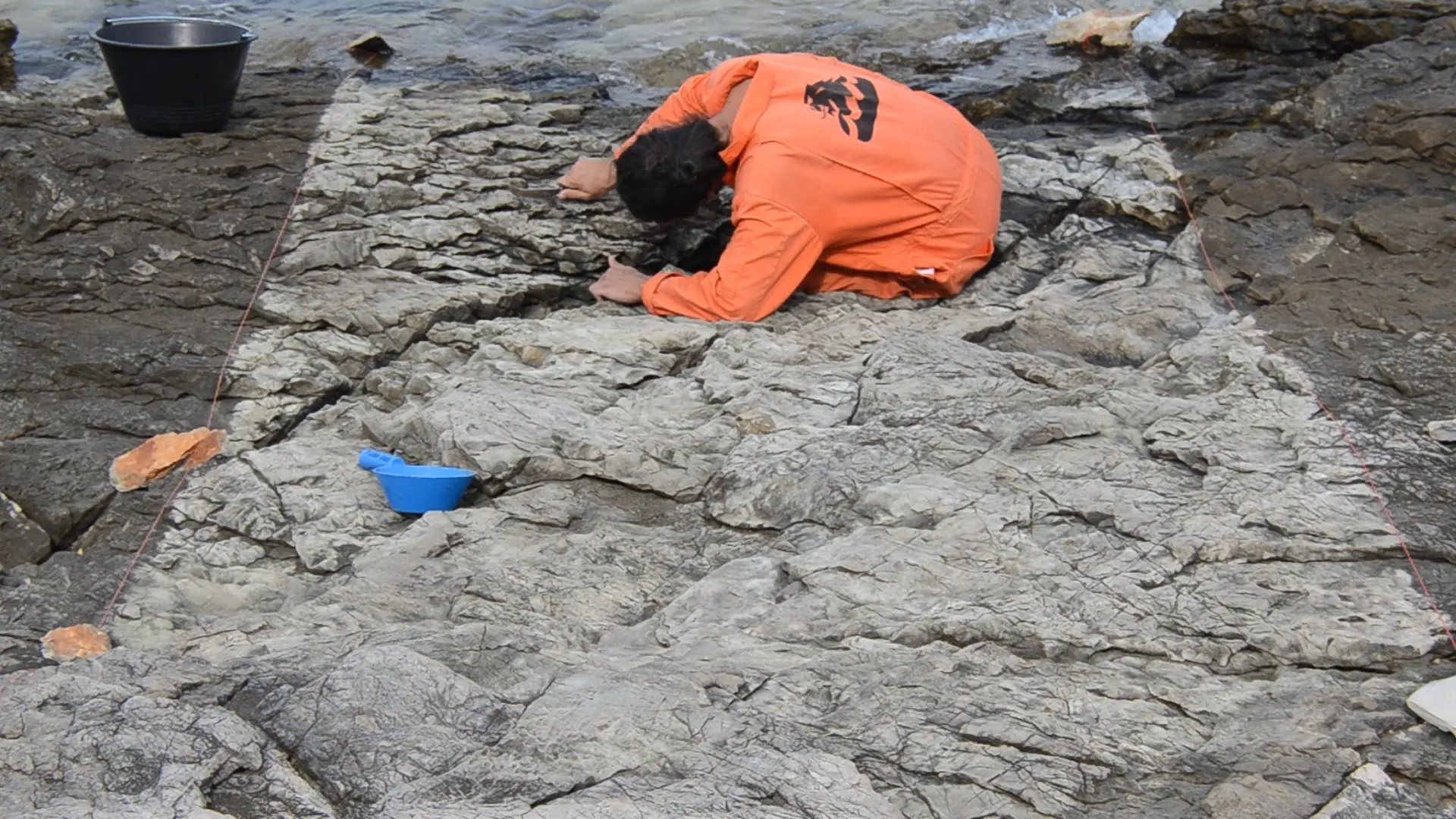 Tourists go home - Tourists come back