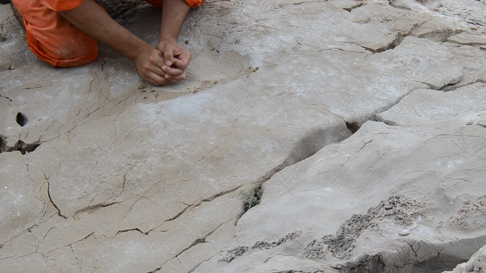 Tourists go home - Tourists come back - seat carving, video still, 2024