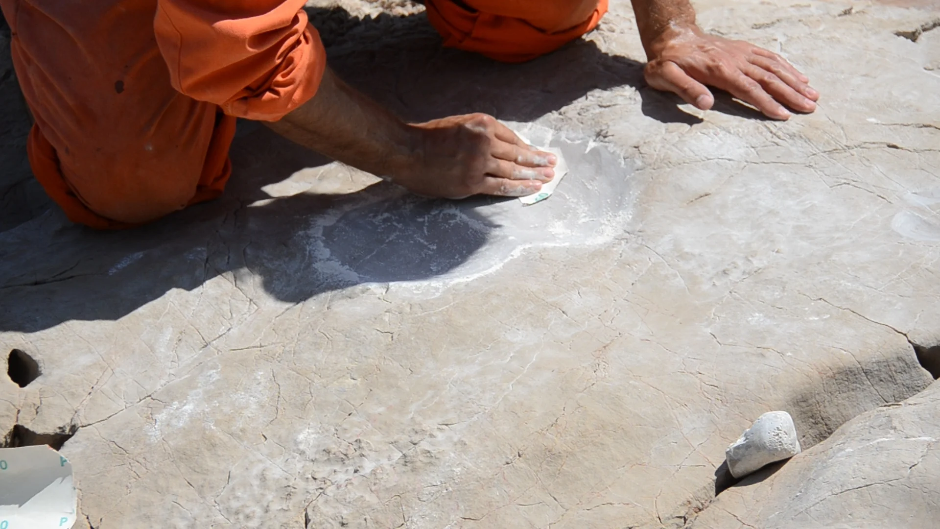 Tourists go home - Tourists come back - seat carving, video still, 2024